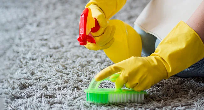 carpet-cleaning-myths-bond-cleaning