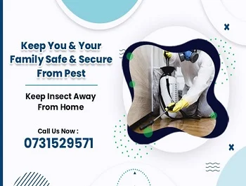 7 Awesome Pest Control Tips From Experts