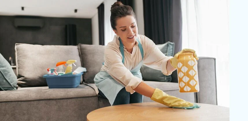 Women cleaning in house